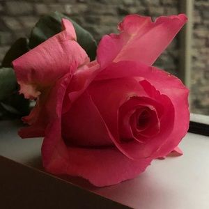 Meet your Posher, Princess